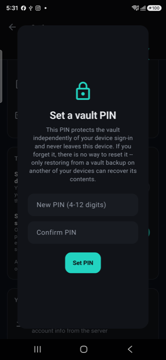 Set a vault PIN screen